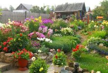 Photo of Как украсить сад цветами: планирование и советы по уходу